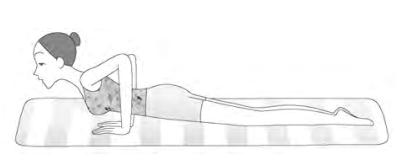 俯卧撑最方便的纤臂运动