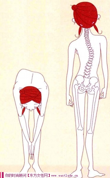 两种简易检查脊推侧弯方法