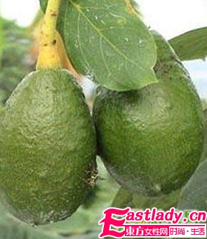 民间秘传的3大丰胸圣果