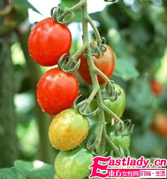 摆脱大象腿的7大蔬果