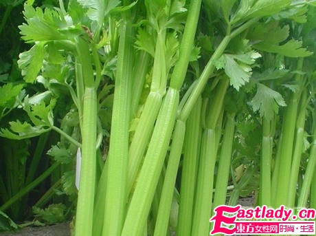 最有效瘦脸的5大食物