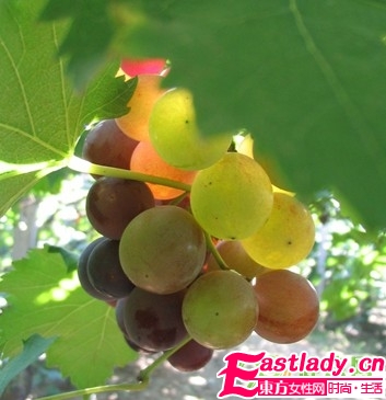 天然有效的六大丰胸水果