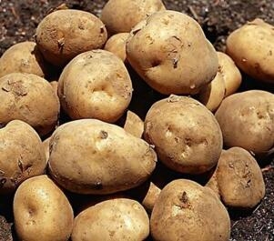 晚上吃什么不会胖？六种食物让你安心吃晚餐