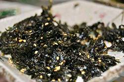 减肥食品有哪些 最佳减肥食物大盘点