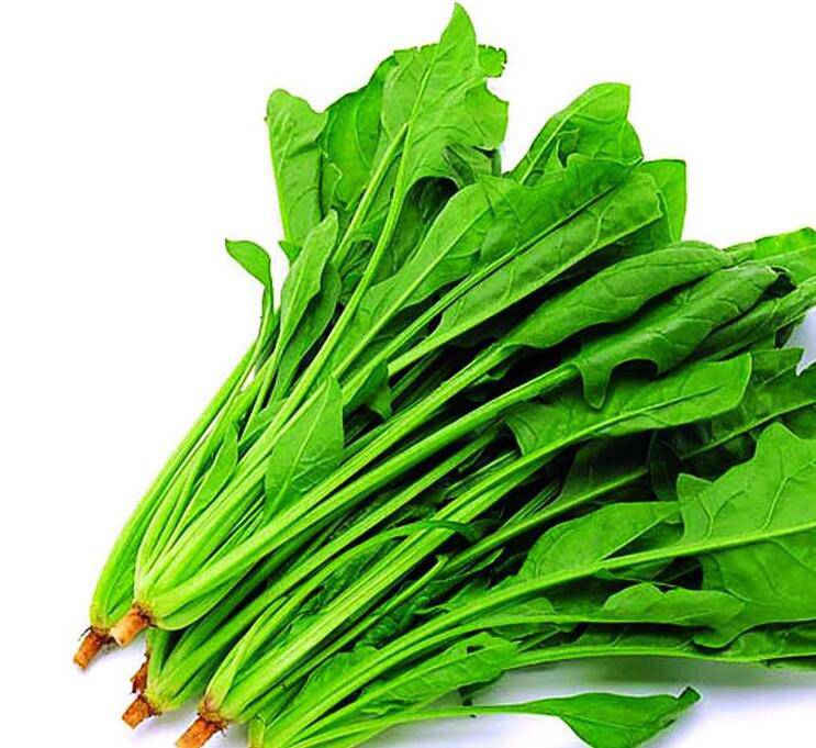 春季吃什么蔬菜可以减肥又美容