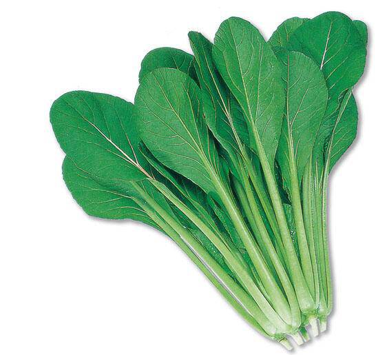 春季吃什么蔬菜可以减肥又美容