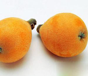 枇杷很有效的减肥果品