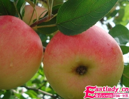 吃掉腹部赘肉的7大食物