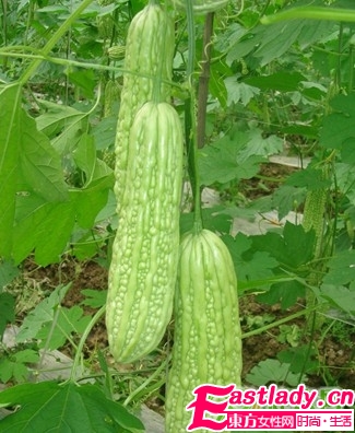 越吃越瘦的8大减肥食物