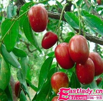 苗条身材 冬季减肥的食物大全