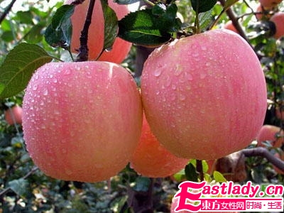 清肠减肥的五个绝招