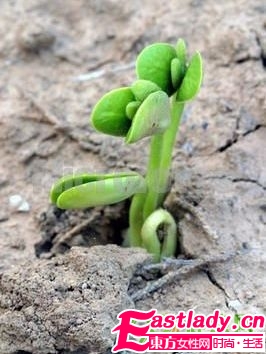 这15种食物吸光你的脂肪