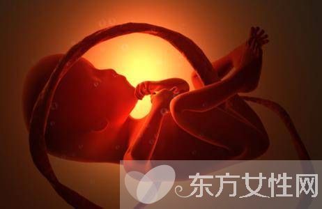 胎儿几周入盆 胎儿发育标准表