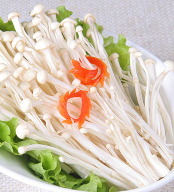 夏季多吃菌类 宝宝营养健康又聪明