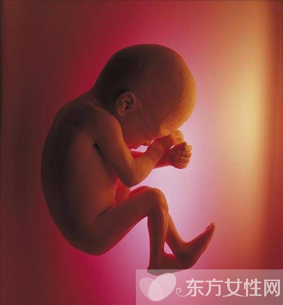 胎儿几周入盆 胎儿发育标准表