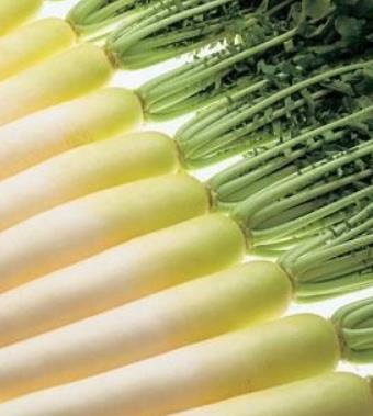 秋季健康饮食 秋季饮食的九大养生常识