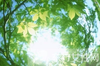 宝宝零食知多少 健康小零食原来这样简单