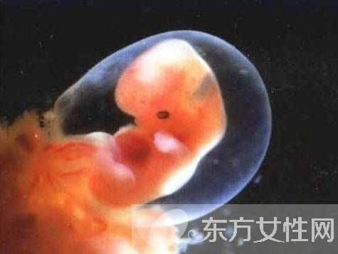 胎儿缺氧该怎么办 胎儿缺氧的4大预防方法需做好