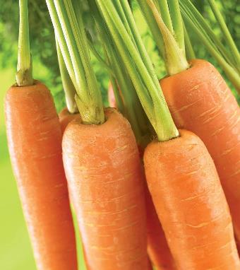 春季宝宝要注意的饮食 六个禁忌定要牢记