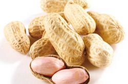 产妇吃什么东西能下奶 最佳催乳食品大全推荐