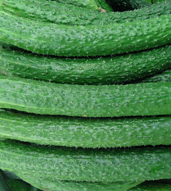 儿童饮食与健康 秋季宝宝吃什么