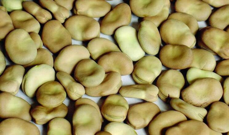 5种最坑娃的食物 千万不要给宝宝吃