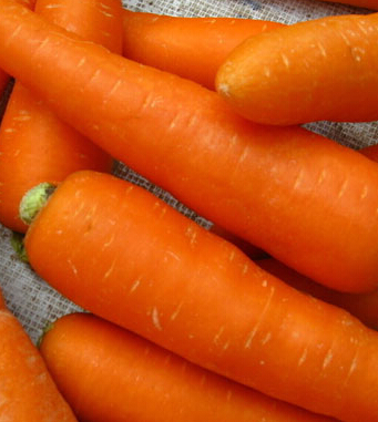 胡萝卜的功效与作用 有助于宝宝健康成长