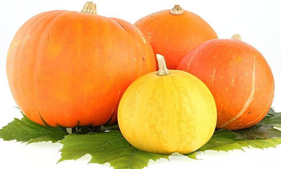 5种最坑娃的食物 千万不要给宝宝吃