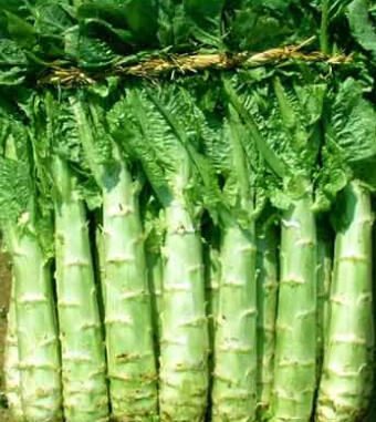 秋季健康饮食 秋季饮食的九大养生常识