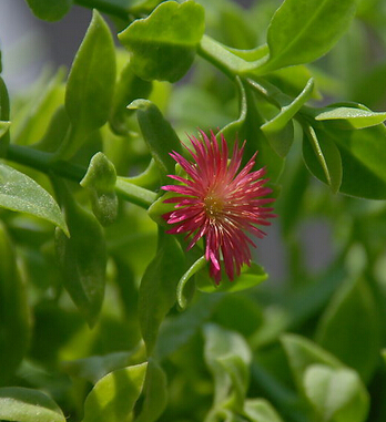 冬季养生 冬季幼儿保健五大注意