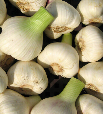 小儿咳嗽 有效治疗偏方