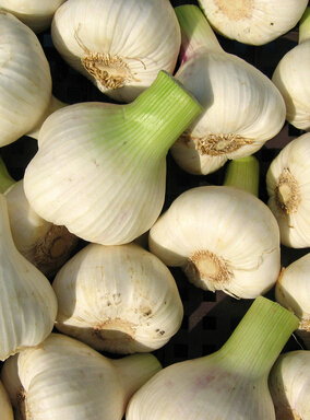 宝宝不爱吃饭怎么办 营养增食欲餐是首选