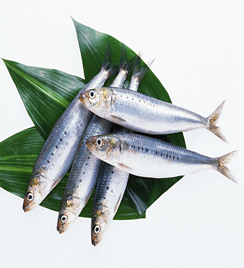 小孩吃什么可长高  千万不能让小孩吃的食物