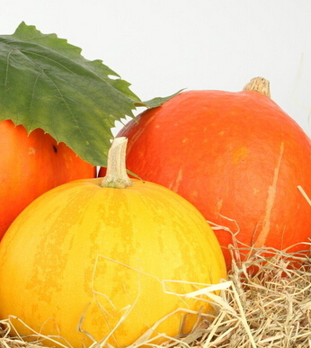 产后恢复 几种产后补血食材不容小觑