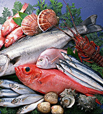 鱼肉营养丰富 孕妇如何吃鱼才更健康营养