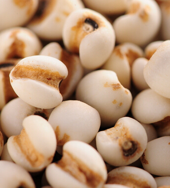 孕妇禁忌 孕期吃八种食物小心伤了胎儿