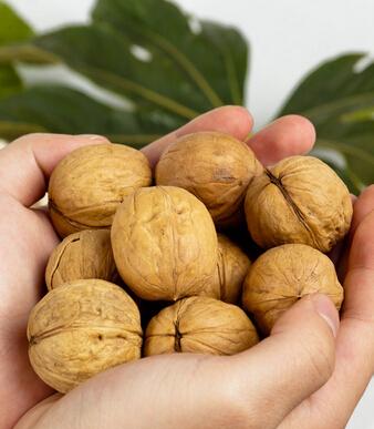 超级育儿师 最好的胎教方法