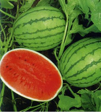 孕妇吃什么水果好 教你孕期正确吃水果方法