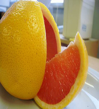 孕妇秋季吃什么水果好  吃梨清热降压