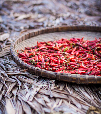 坐月子注意事项 秋季如何坐月子