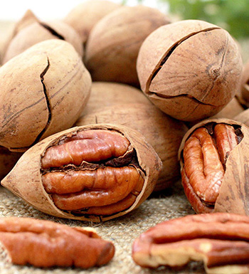 碧根果的食用禁忌 吃碧根果要注意哪些