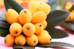 孕妇能吃枇杷吗 孕妇千万不能吃的食物有哪些