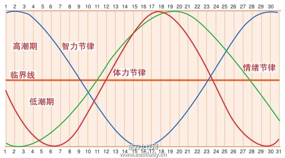 人体节律与生男育女息息相关