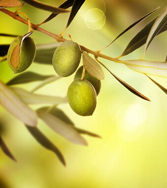 孕妇吃什么好 合理饮食助你孕期防辐射