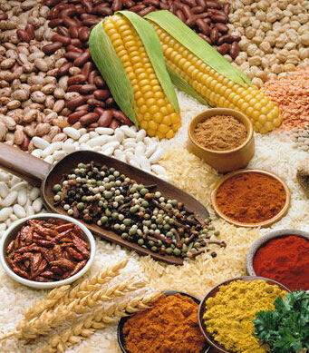 糖尿病人食谱 妊娠糖尿病的饮食调节法