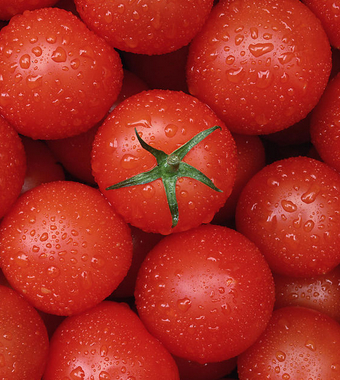 西红柿的营养价值 对抗多种疾病的食疗美食