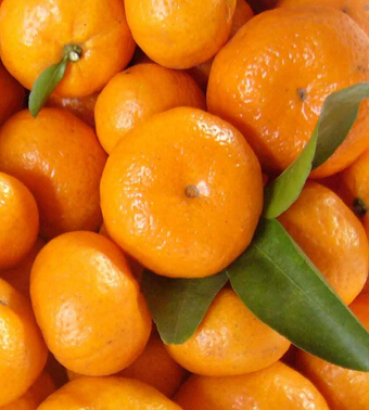 孕妇吃什么水果好 适合孕妇的好水果