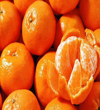 孕妇秋季吃什么水果好  吃梨清热降压