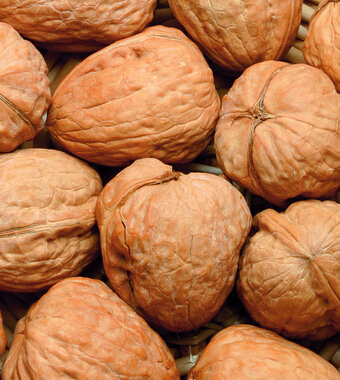 怀孕初期吃什么好 孕期吃什么坚果好