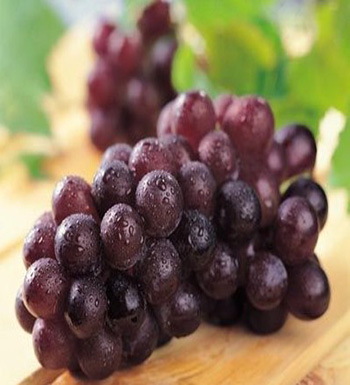 孕妇秋季吃什么水果好  吃梨清热降压